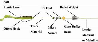 Image result for How to Tie a Texas Rig