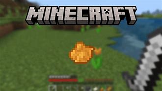 Image result for Orange Dye Minecraft