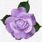 Image result for White Flowers with Purple Clip Art