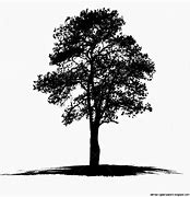 Image result for Original Art Tree Black and White