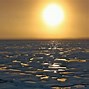 Image result for Arctic Tundra Biome Climate