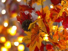 Image result for Cozy Fall Laptop Backgrounds