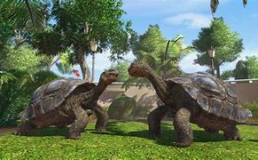 Image result for Zoo Tycoon Series