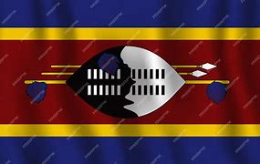 Image result for Democratic Congo Flag