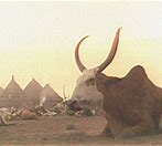 Image result for Nuer People