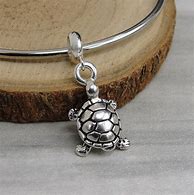 Image result for Openable Turtle Charm