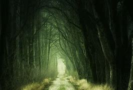 Image result for Black Long Path