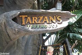 Image result for David Stiles Tarzan Treehouse