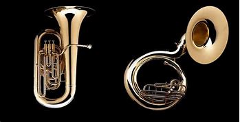 Image result for Tuba Ball