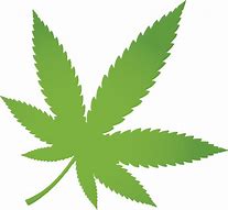 Image result for Transparent Marijuana Leaf Clip Art