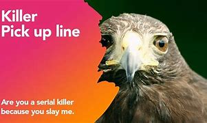 Image result for Killer Pick Up Lines