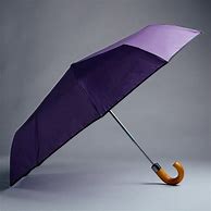 Image result for Compact Umbrella