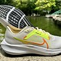 Image result for Nike Zoom Pegasus 40