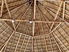 Image result for Interior Side Thatch Roof