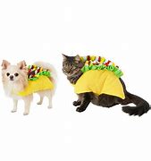 Image result for Taco Cat Costume