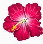 Image result for Purple Hibiscus Flower Clip Art