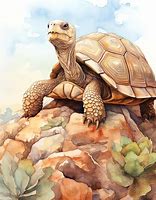 Image result for Turtle Rock in Ocean