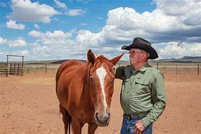 Image result for Texas Cowboy Cat