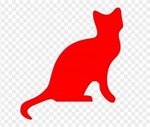 Image result for Red-Eyed Cat