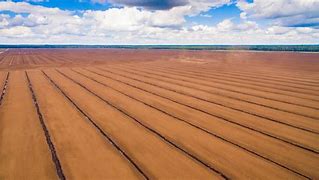 Image result for Carbon in Peat Bog