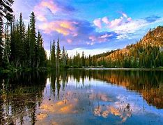 Image result for Idaho Tropical