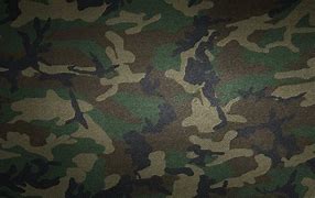 Image result for Bush Camo Wallpaper