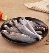 Image result for Tengra Fish HD Image