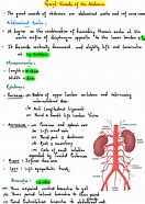 Image result for Aortic Vessels