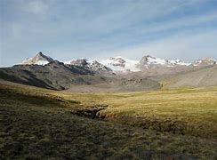 Image result for Puna Grassland Region