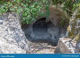 Image result for Cistern Israel