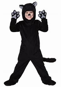 Image result for Cat with Costume