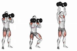 Image result for Push Press