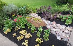 Image result for Agave Landscape Design