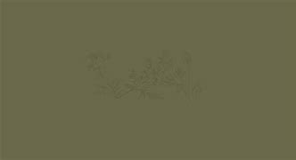 Image result for Sage Green Nature