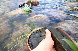 Image result for Dry Fly Fishing