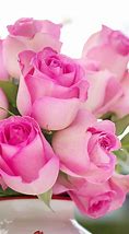 Image result for Beautiful Pink Flowers Pinterest