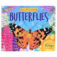 Image result for A Butterflies Life Cycle