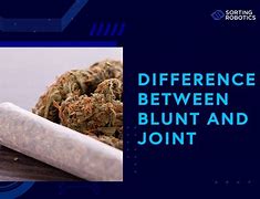 Image result for Difference Between Blunt and Joint