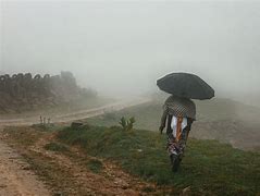 Image result for Foggy Path Landscape