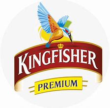 Image result for Kingfisher