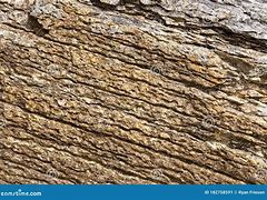 Image result for Hard Rock Strata