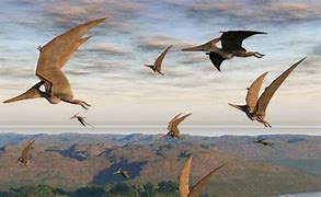 Image result for Biggest Flying Dinosaur