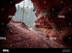 Image result for Inside Cave Forest