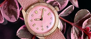 Image result for Oris Purple Watch