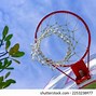 Image result for Touching a Basketball Hoop Backboard