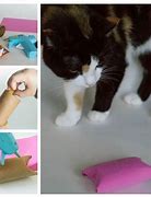 Image result for DIY Cat Toys Simple