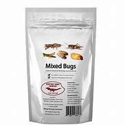 Image result for Edible Bugs Eco