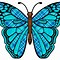 Image result for butterfly wings patterns