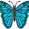 Image result for butterfly wings patterns