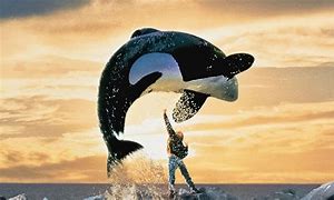 Image result for Free Willy Jumping